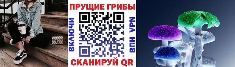 Псилоцибиновые грибы прущие грибы  Жуковка 