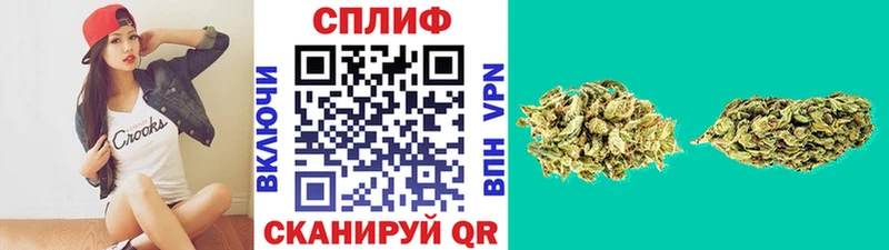 Бошки Шишки план  Жуковка 